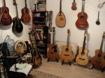 Guitars Family 1.jpg