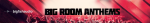 big fish audio big room anthems.png