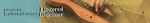 fingered dulcimer.png