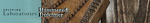 hammered dulcimer.png