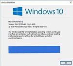 Windows 10 Pro for Workstations.jpg