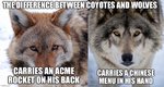 Wolves Coytotes.jpg