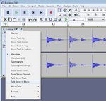 Audacity Split Stereo to Mono.jpg