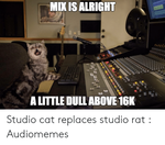 mik-isalright-a-little-dull-above-16k-studio-cat-replaces-52283085.png