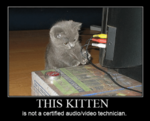 this-kitten-is-not-a-certified-audio-video-technician-motivator-49262355.png