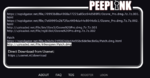 PEEPLink - Private Linking Service 2022-01-03 19-14-44.png