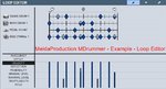 MeldaProduction MDrummer - Example - Loop Editor.jpg