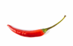 Red Jalepeno Image.png