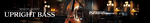 Native Instruments Session Bassist – Upright Bass.png