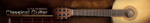 Ilya Efimov_Acoustic Guitar.png