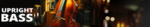 upright bass.png