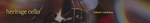 Sonixinema Heritage Cello.png