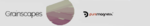 Puremagnetik - Grainscapes.png