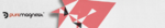 Puremagnetik Collection.png
