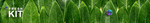 Noiiz Fresh Kit.png