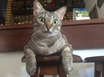 Nina-02.jpg