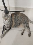 Nina-01.jpg