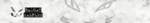 badcat.png