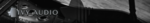 ivy.png