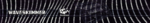 waveskimmer.png