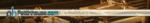 pettinhouse.png