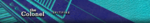 thecolonel.png