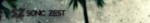 soniczest.png