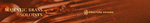 Fracture Sounds Majestic Brass Soloists.png