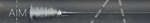 AIM.png