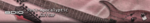 8diopostguitar.png