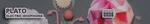 Sound Dust Plato.png