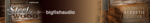Big Fish Audio Steel and Wood Songwriter Acoustic Sessions audiosex  wallpaper.png