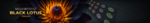BLACKLOTUSver2.png