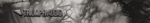 triumph.png