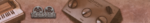 tronsonic.png