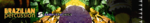 [Samplephonics] Brazilian Percussion audiosex wallpaper.png