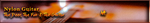 Wavelet Audio nylon guitar(3).png