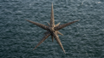 Gemini_Generated_Image_lc81jqlc81jqlc81.png