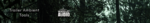 tatwavelet.png