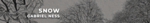 SNOW.png