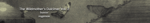 wilddulc2.png
