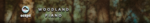 woodpiano.png