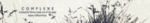 COMPLEXE.png