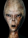 Gemini_Generated_Image_eicw2reicw2reicw.jpg