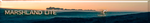 Performance Samples Marshland Lite.png