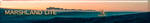 Performance Samples Marshland Lite(2).png