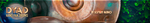 In Session Audio Dyad Hand Pan Drums.png