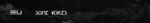 somevoices.png