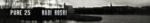 pure25.png