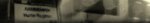 nzmmbience.png